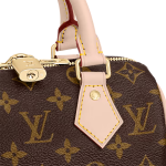 Speedy Bandouliere 20 Monogram Canvas - Image 5
