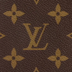 Speedy Bandouliere 20 Monogram Canvas - Image 7